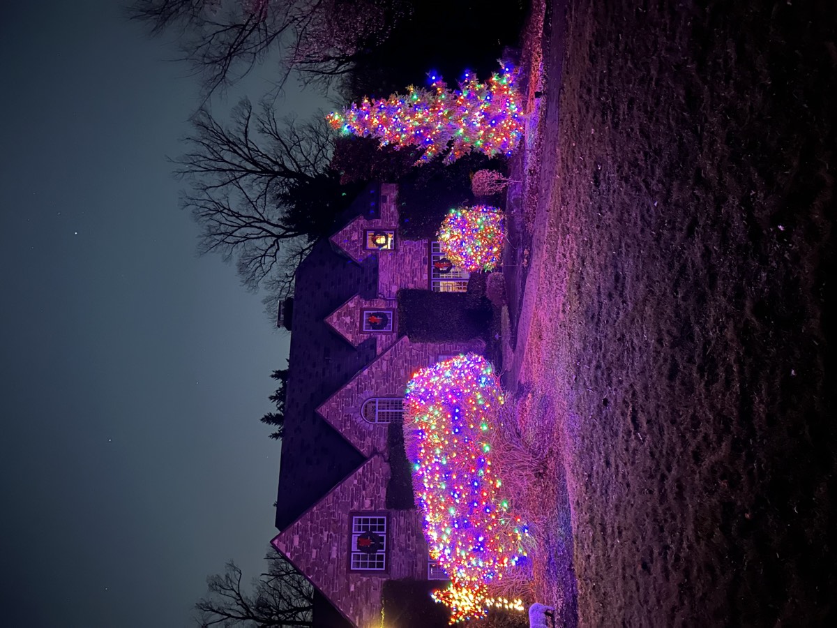 A stone house with shrubs and an evergreen wrapped in multicolored lights at dusk