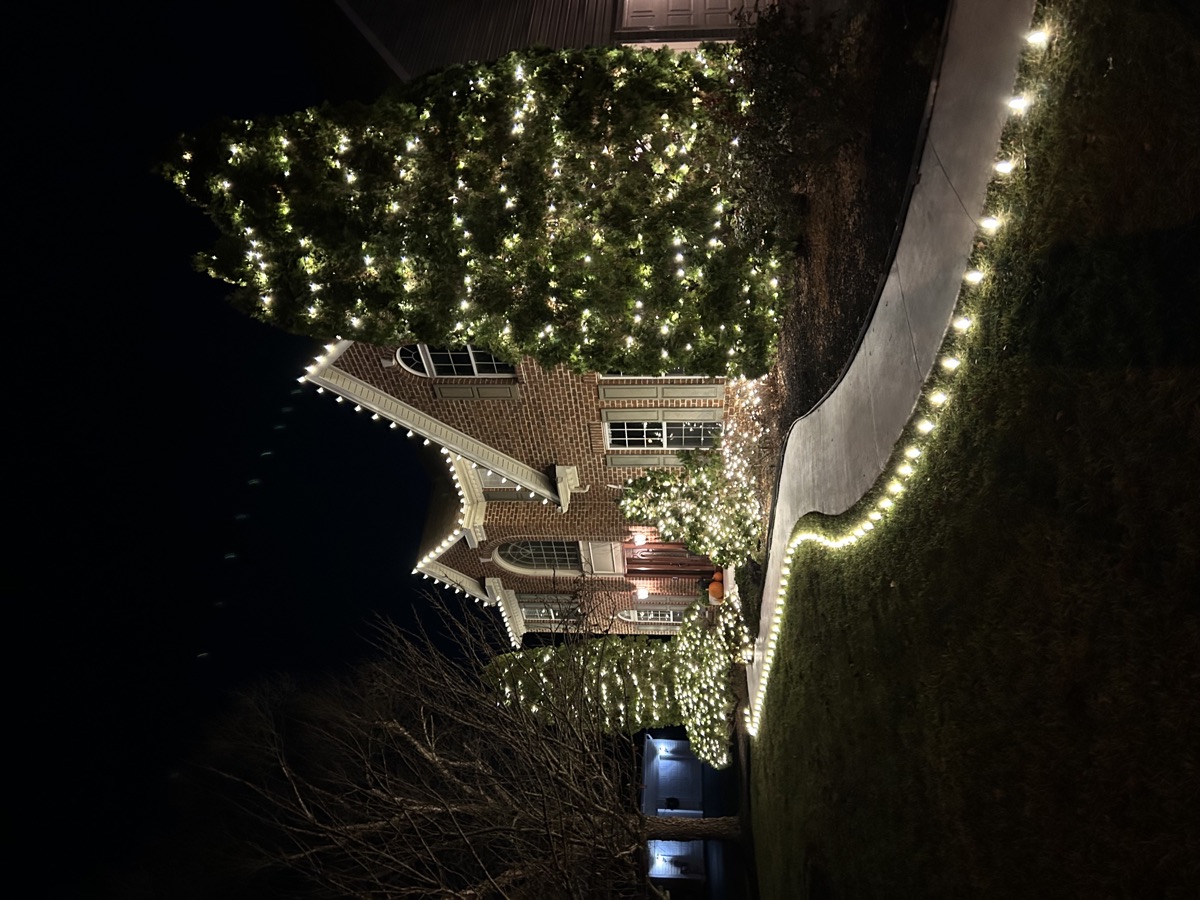 A lit evergreen beside a house with the walkway lined in warm white at night