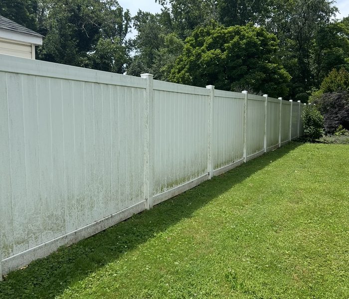 Vinyl privacy fence green with algae before cleaning