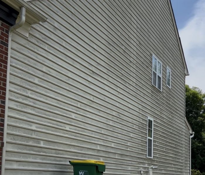 Vinyl siding covered in algae and grey streaking before washing